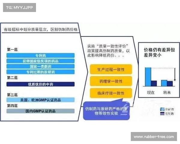 全面解析R1000TC北美版技术优势与使用体验深度剖析