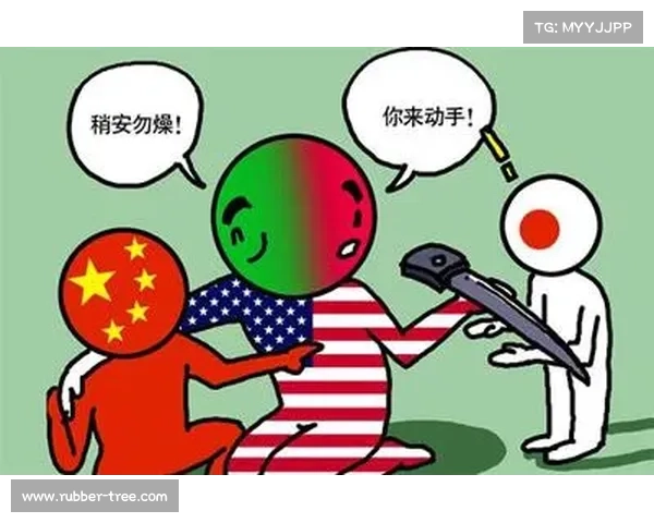 《英雄联盟崩溃原因分析及解决方案十大要点全面解析》
