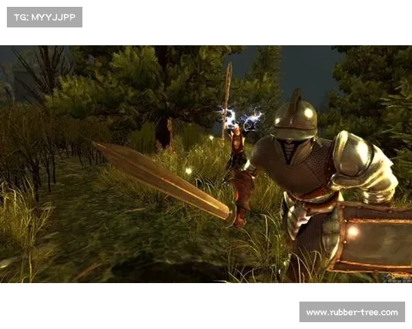 《龙腾世纪2》DLC扩展深度解析新剧情与角色发展探索