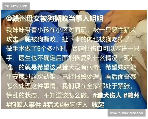 揭示捕捉游侠宠物过程中最易被忽视的十大典型误区与应对策略 揭示捕捉游侠宠物过程中最易被忽视的十大典型误区与应对策略