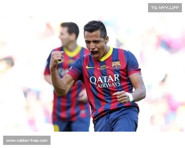 全面解析桑切斯职业生涯轨迹及其效力过的所有足球俱乐部名单