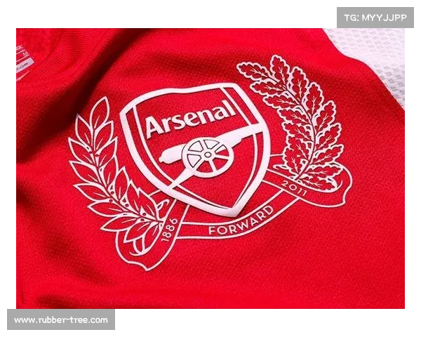 从历史与文化象征多维度解读阿森纳队徽蕴含的精神与传承价值理念