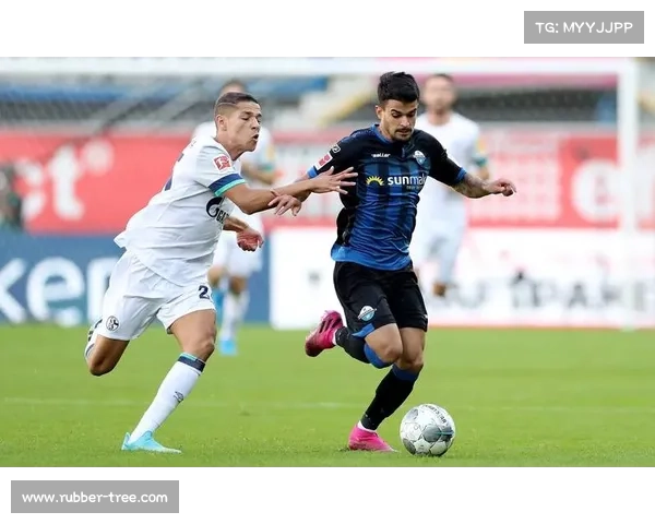 法尔范在沙尔克04的具体位置及其战术作用分析