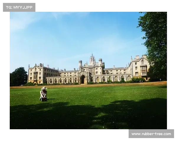 海瑟尔关事件对英格兰球队五大深刻启示及未来治理路径方向思考