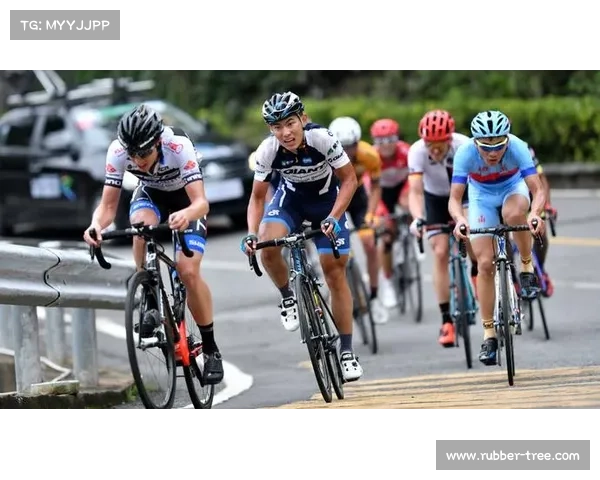 深入探究莫塔冠军杯历届赛事与获胜时间的全面了解方法