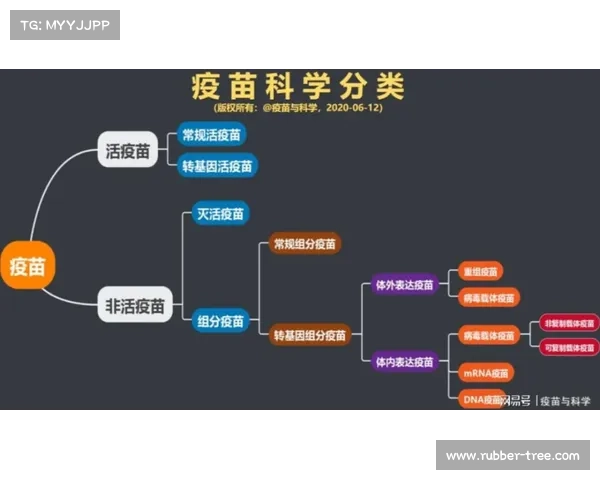 如何重建皇马从低谷到巅峰的全面战略与成功路径解析