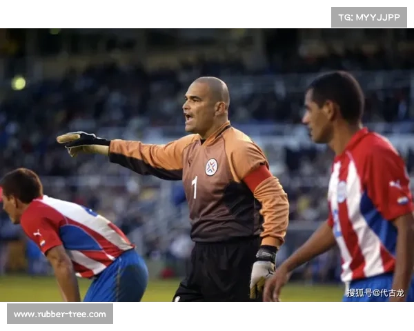 巴西车手南美F3锦标赛夺冠全记录 巴西车手南美F3锦标赛夺冠全记录