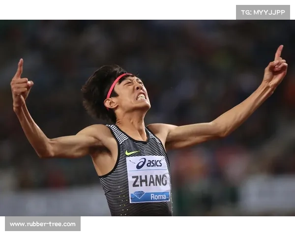 张国伟退役后生活揭秘与福利政策全方位解析 张国伟退役后生活揭秘与福利政策全方位解析