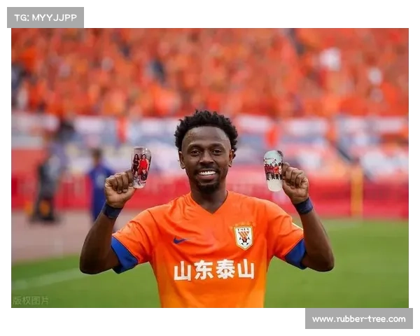 归化国脚费南多的职业生涯：从巅峰荣耀到艰难挑战的背后故事