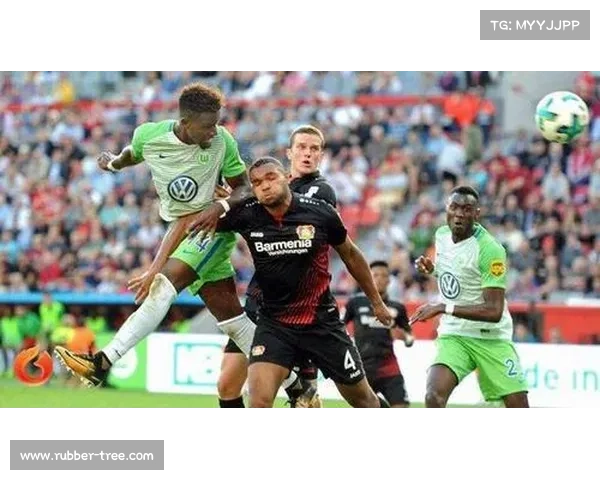 德甲球队关系解析：五大关键要素影响力与战略布局分析