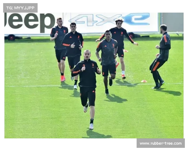 德黑兰独立足球队辉煌历程与未来发展展望分析 德黑兰独立足球队辉煌历程与未来发展展望分析