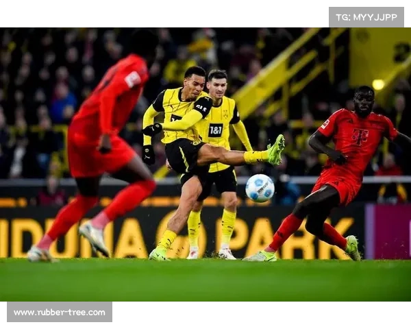 拜仁如何应对德甲新赛季变局挑战与竞争对手的崛起 拜仁如何应对德甲新赛季变局挑战与竞争对手的崛起