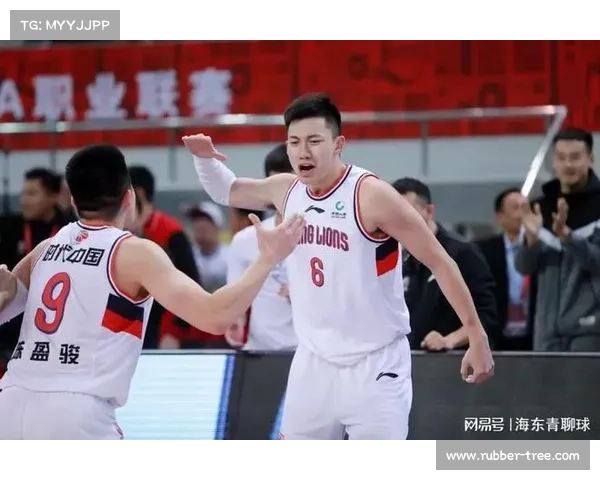 提升CBA球队整体实力的战术创新与实际应用研究方案